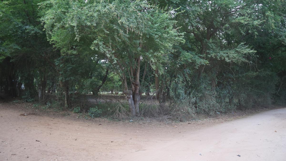 1 ac Land in Kikambala - 9