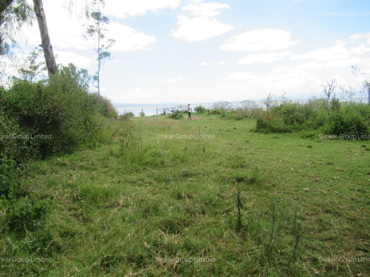25 ac Land at Moi S Lake Rd - 6