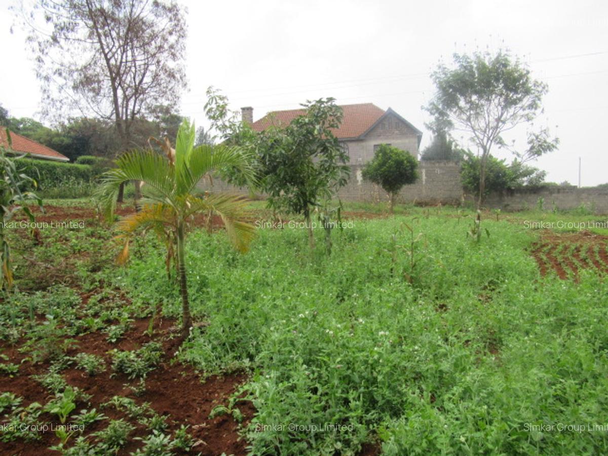Residential Land at Runda - 1