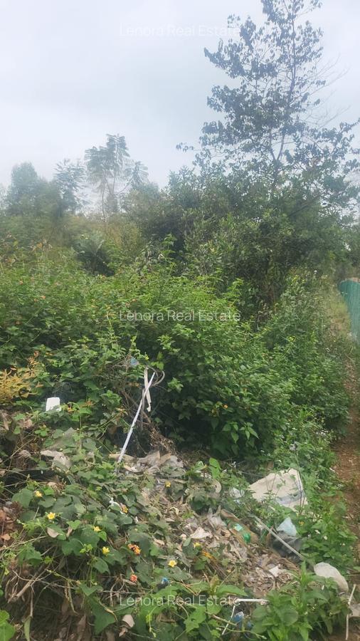 Land in Karen Hardy - 4