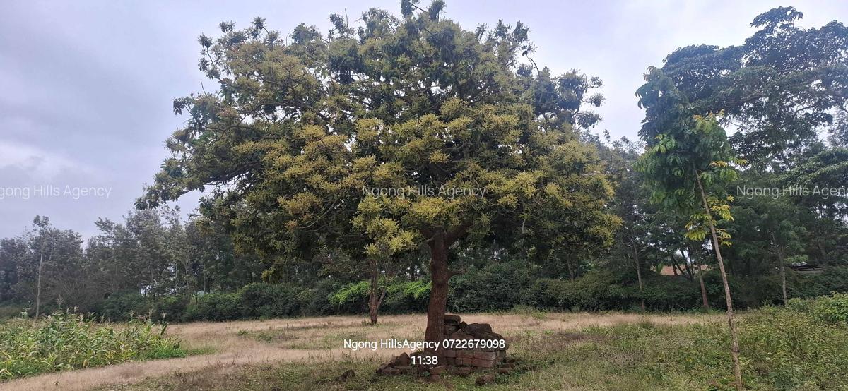 Residential Land in Ngong - 2