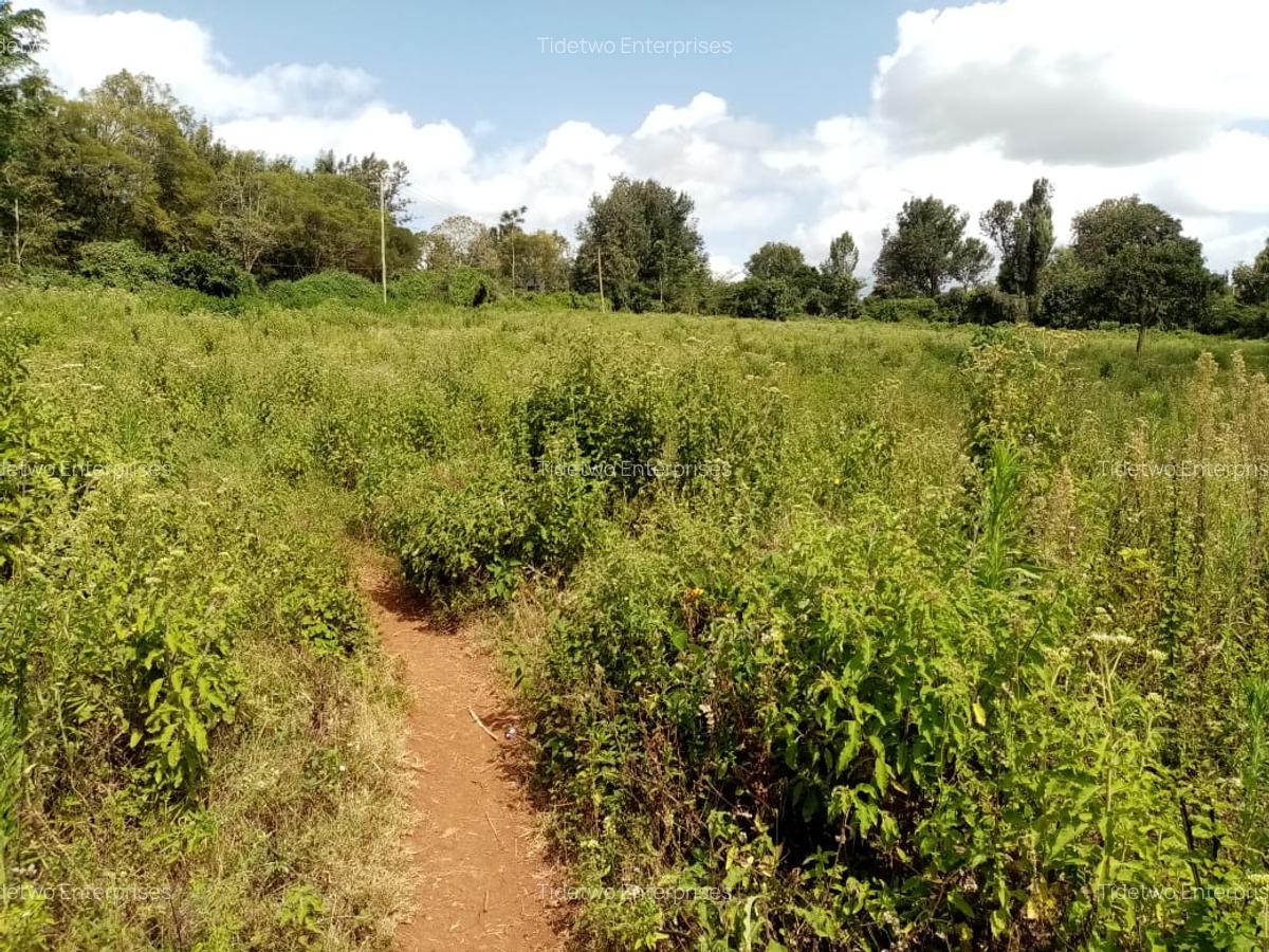 5 ac Land at Rhino Park Road - 3