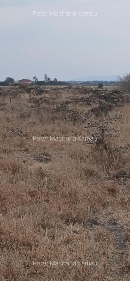 50 ac Land in Konza City - 15