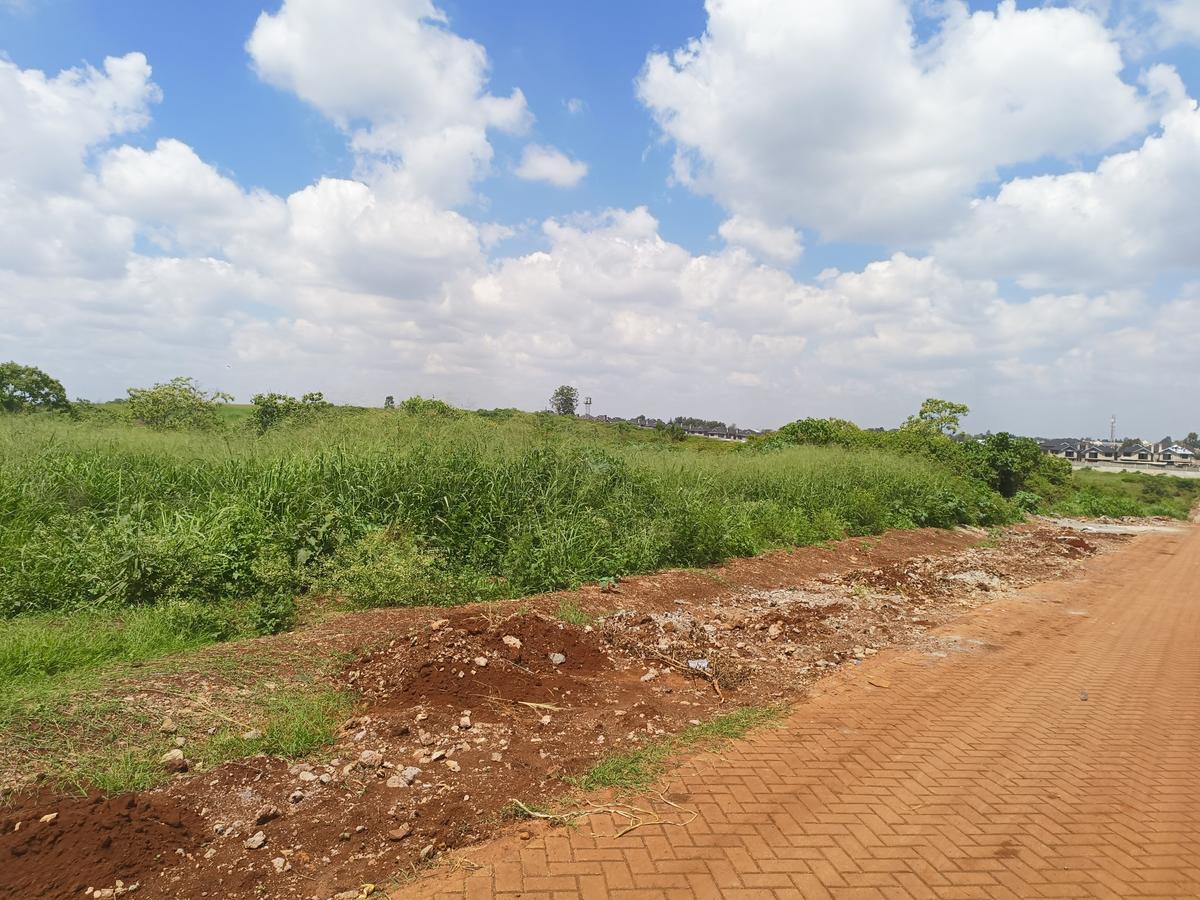 25 ac Land at Off Paradise Lost Road - 5