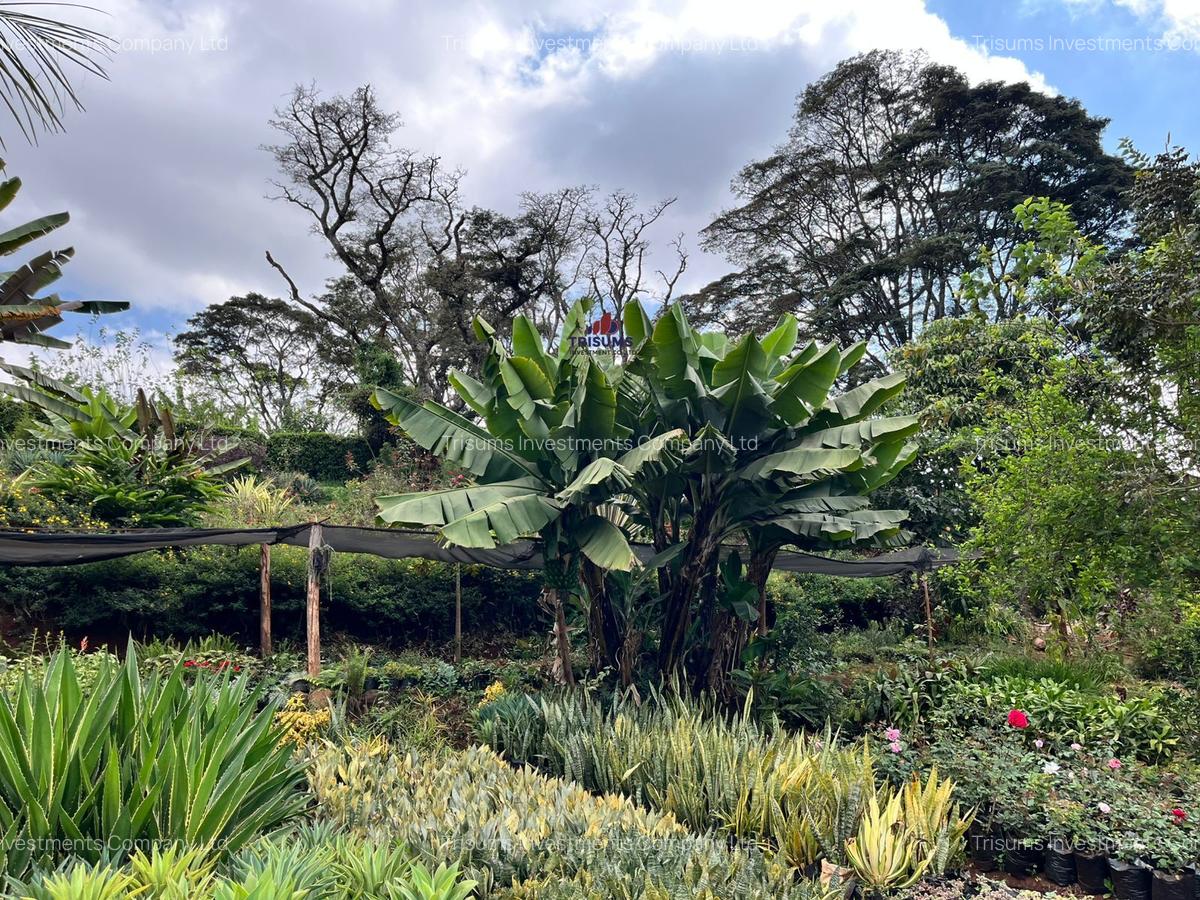 1 ac Land in Nyari - 1