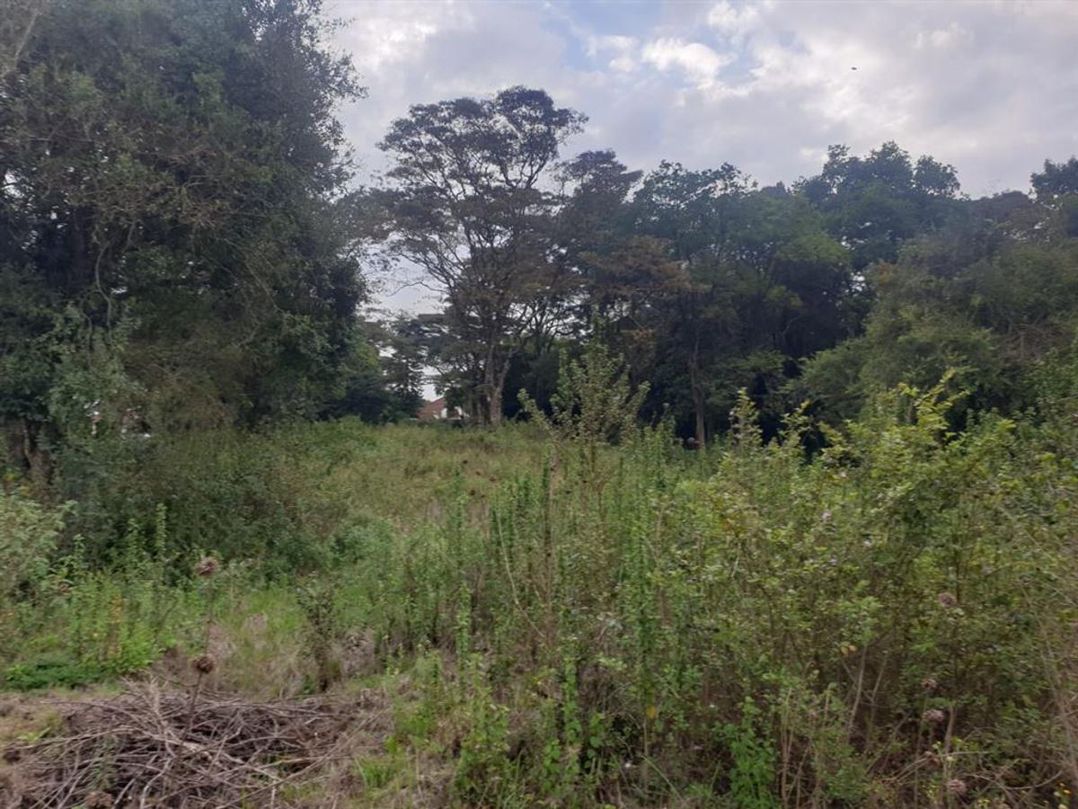 residential land in karen