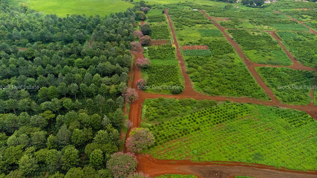 0.125 ac Residential Land in Ruiru - 3