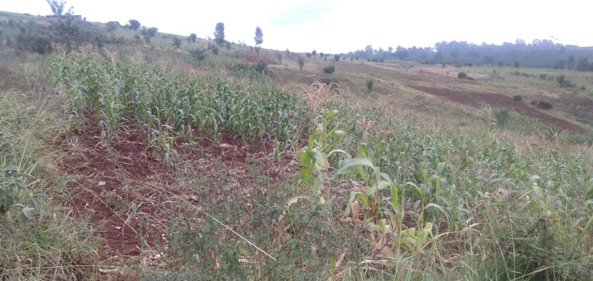 64,000 ft² Land at Kiambu Riabai - 16