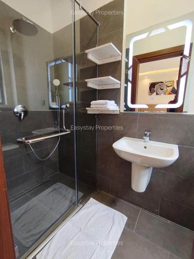 Furnished 1 Bed Apartment with En Suite in Spring Valley - 6