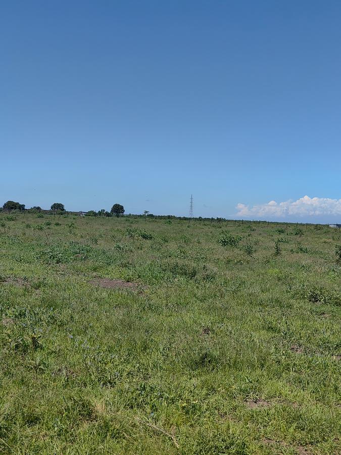 Land at Nanyuki - 11