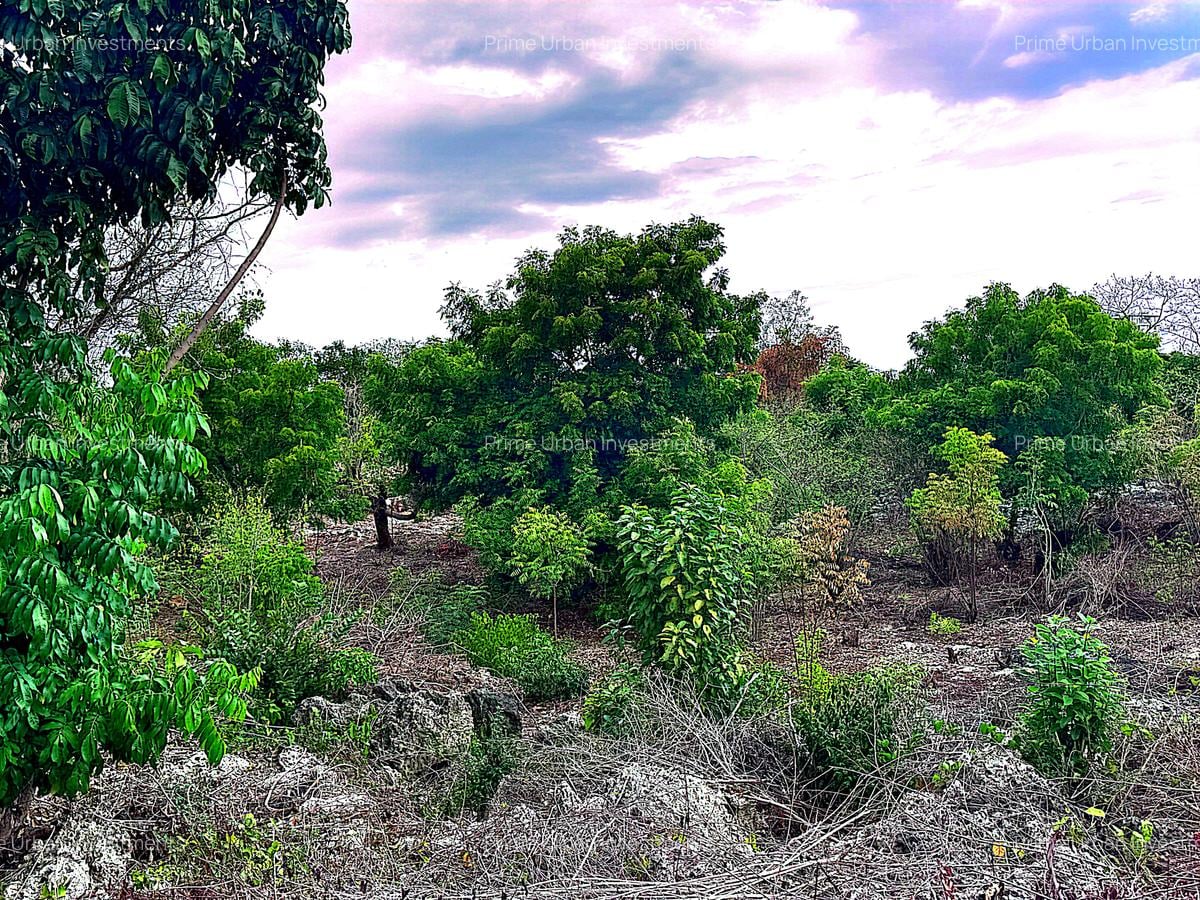 2,010 m² Residential Land at Second Row Kuruwitu Beach - 5