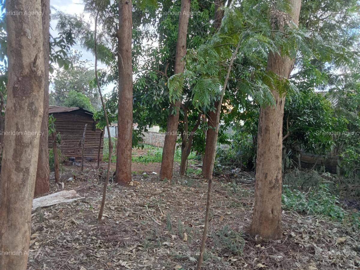 Commercial Property at Kiamumbi Estate - 4