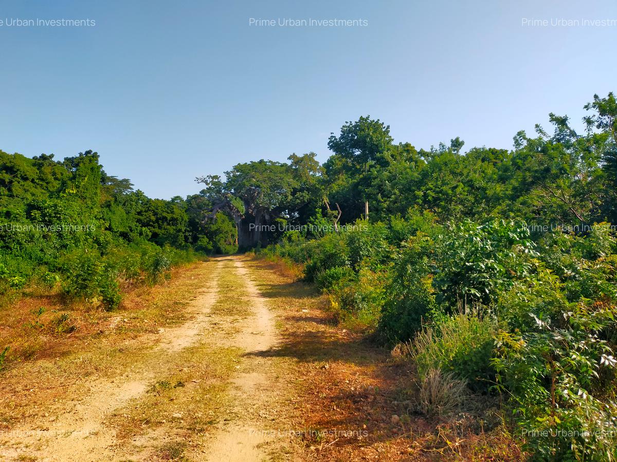 Land in Vipingo - 10