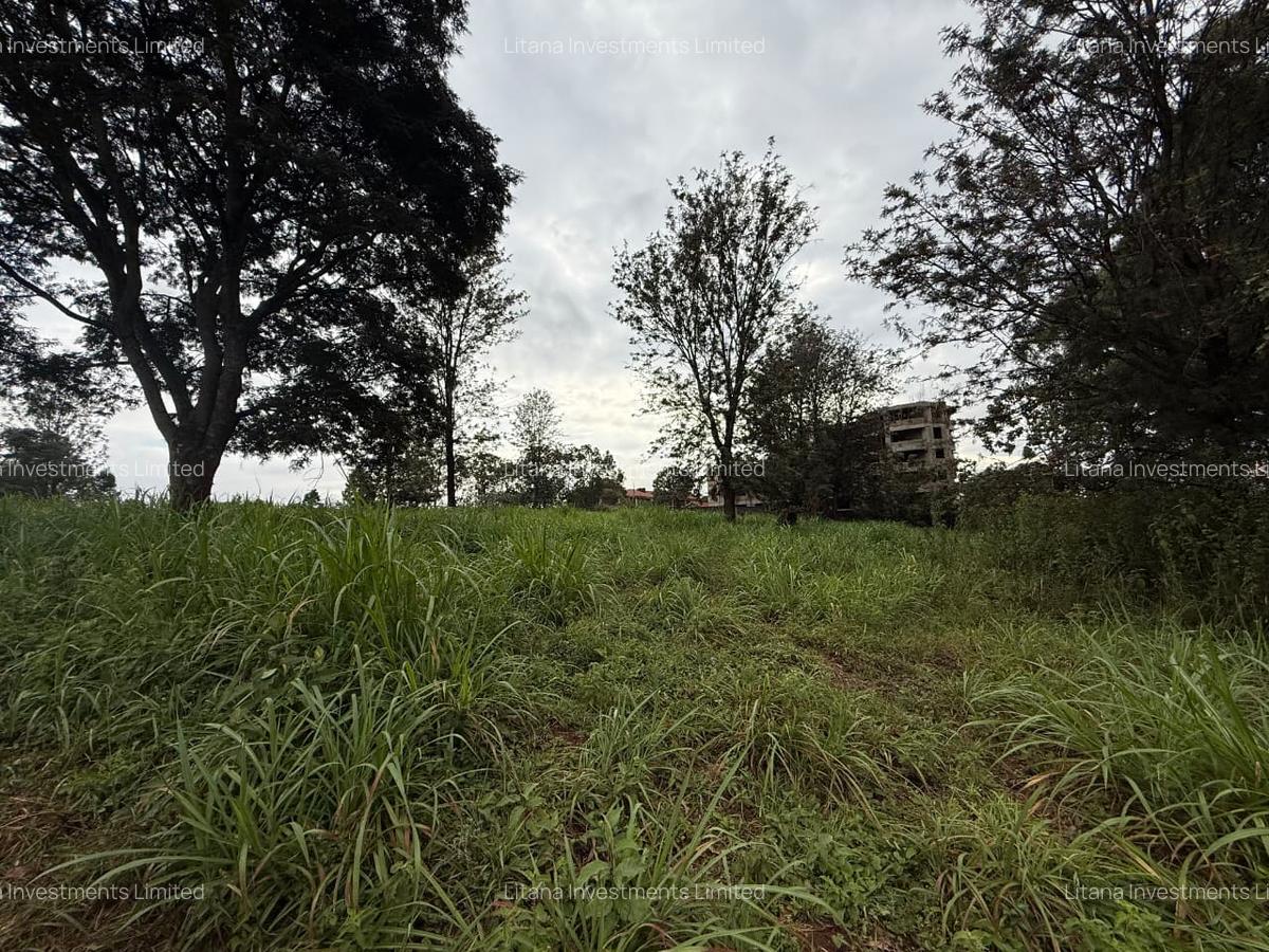 0.5 ac Land in Ruaka - 9