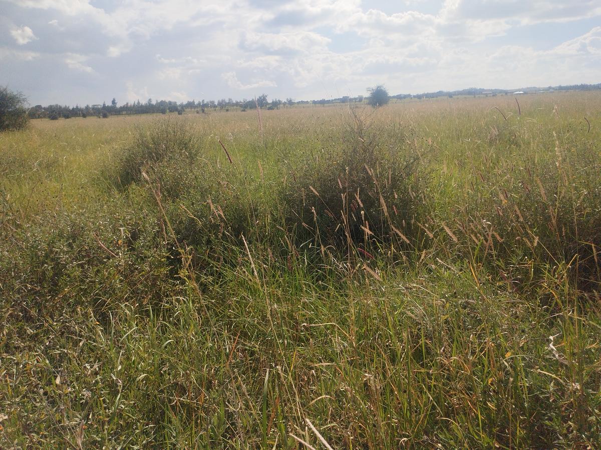 10 ac Land at Kiserian-Isinya Road - 2