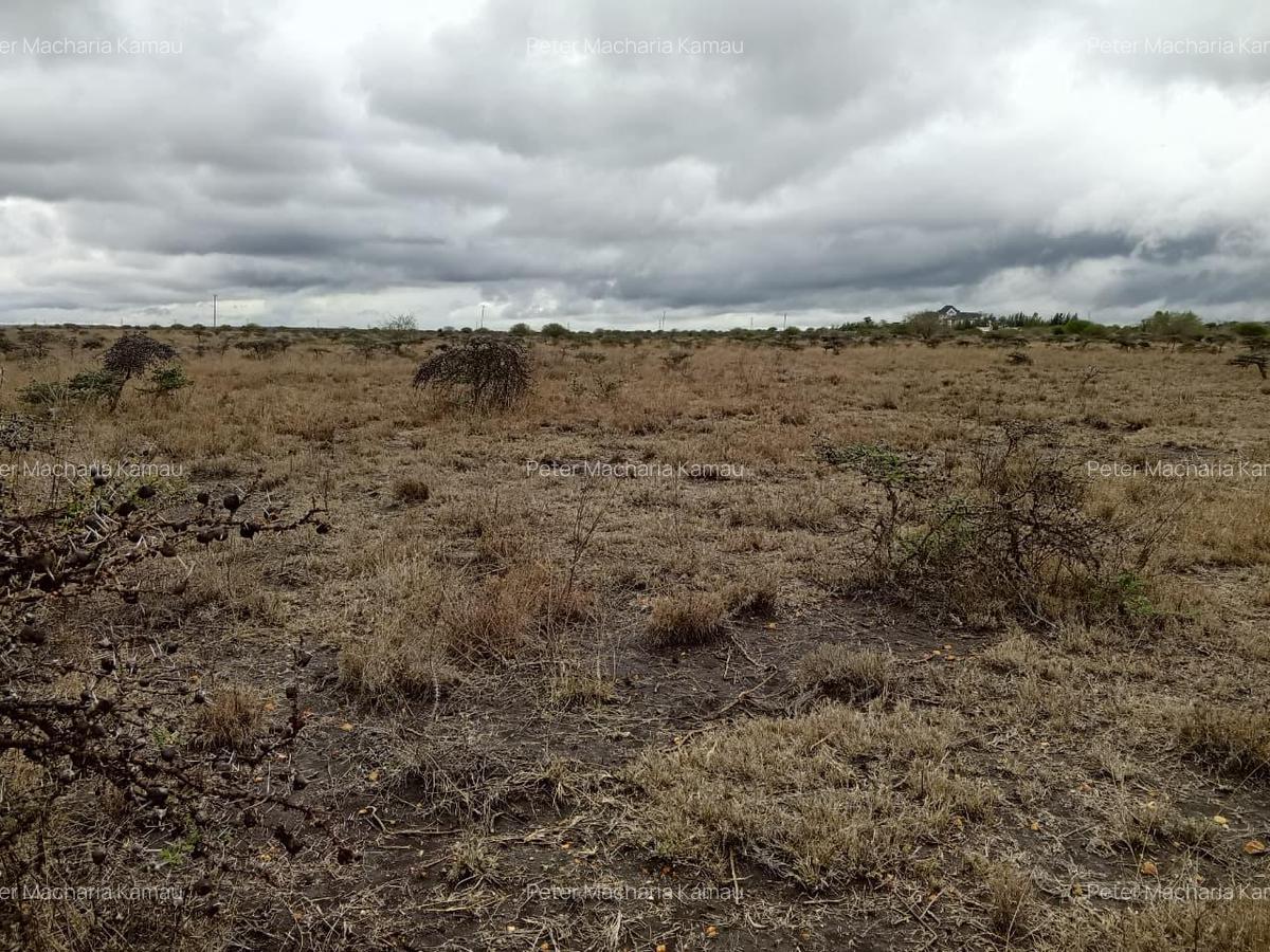 50 ac Land in Konza City - 3