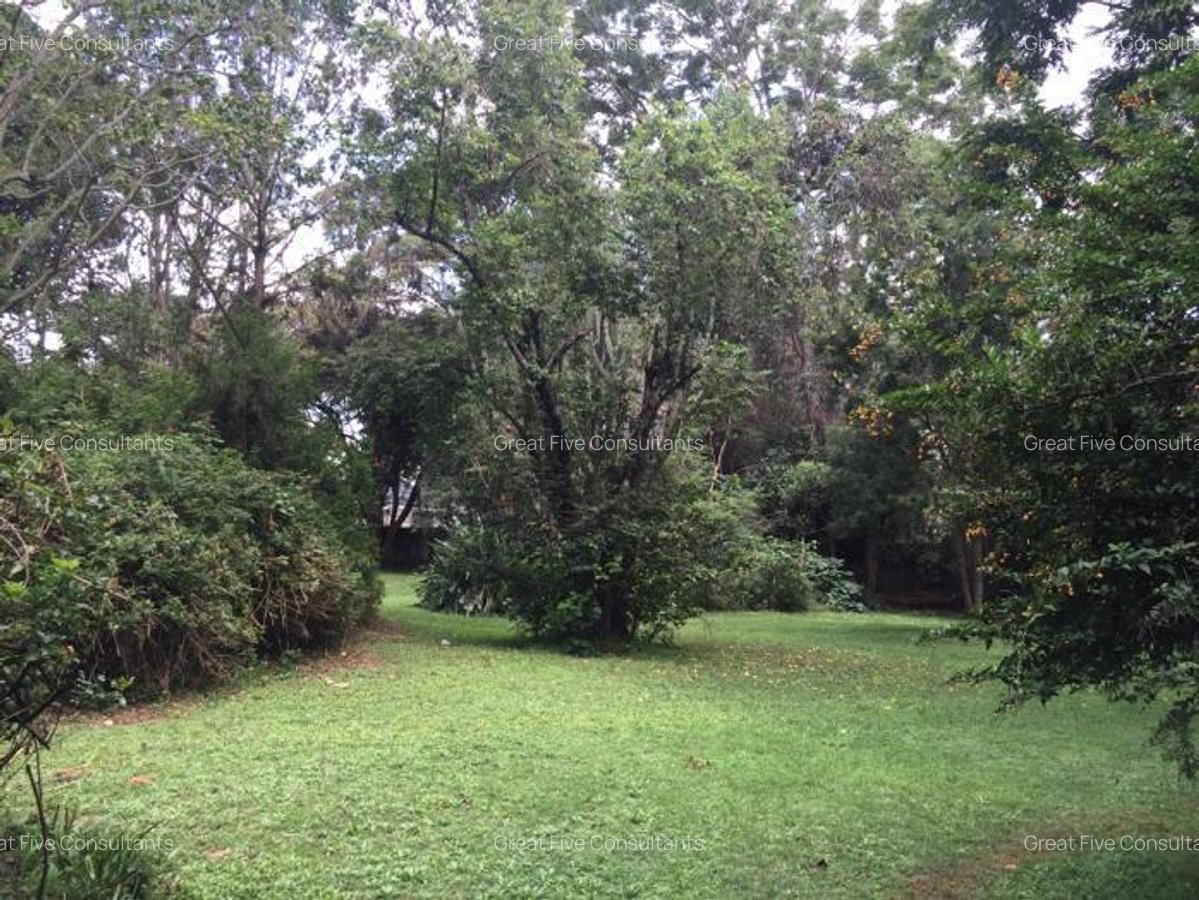 Furnished 3 Bed Apartment with En Suite in Gigiri - 2