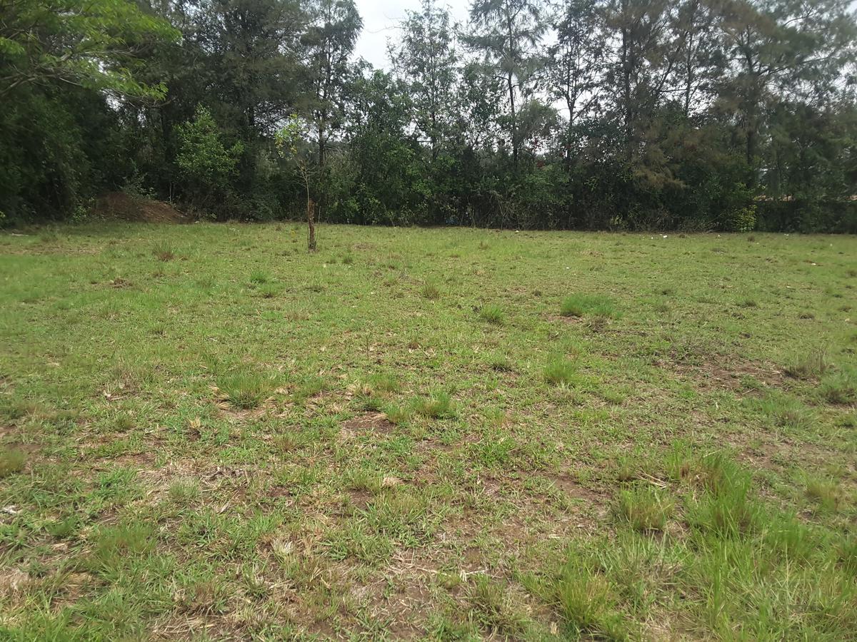 0.5 ac Residential Land in Karen - 10