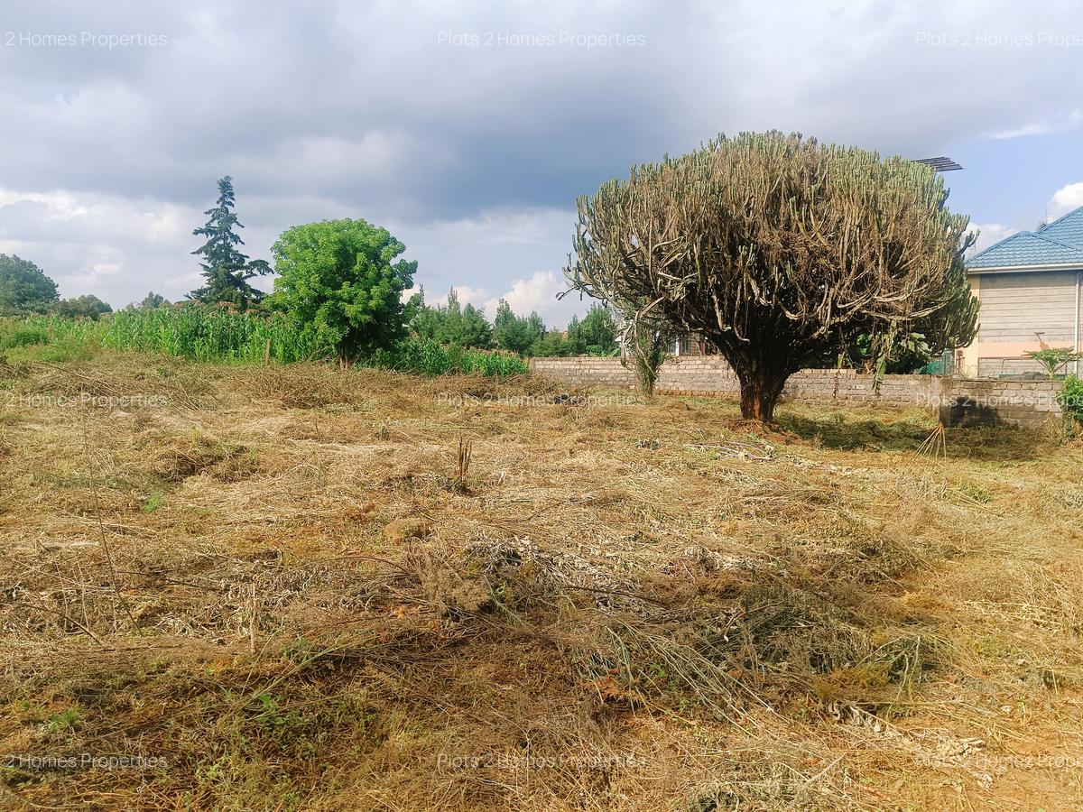 1,000 m² Residential Land at Riu-Nderi - 10
