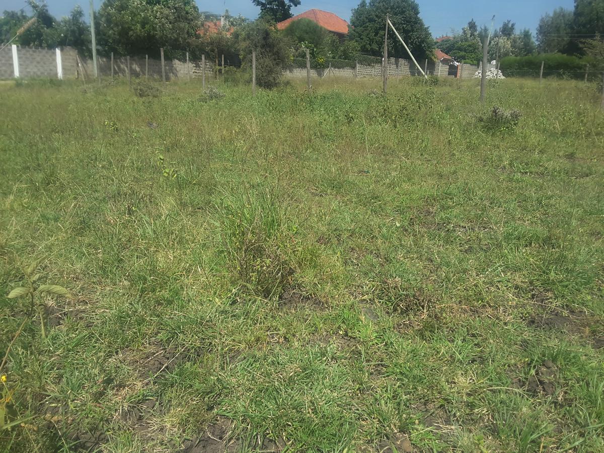 0.25 ac Residential Land in Ongata Rongai - 4