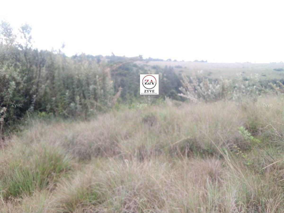 6 ac Land at Mukima Ridge - 11