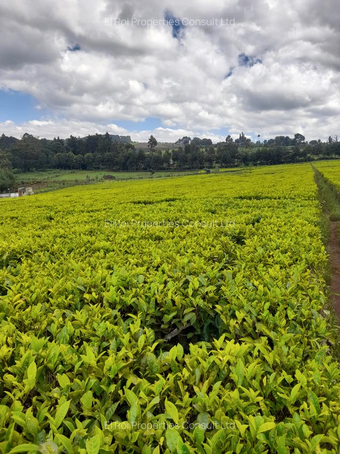 0.5 ac Land at Riara Ridge Tigoni - 5