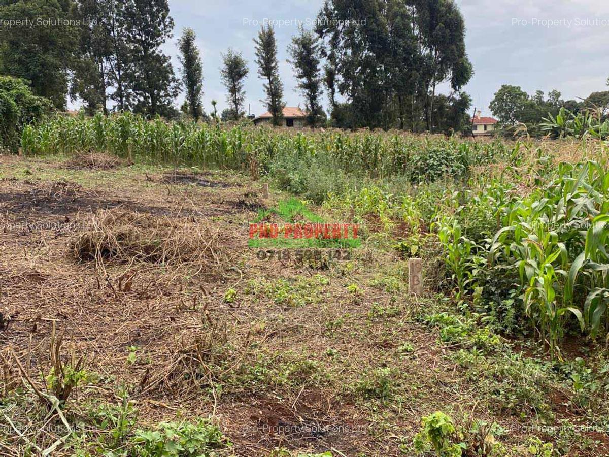 0.05 ha Residential Land in Kikuyu Town - 5