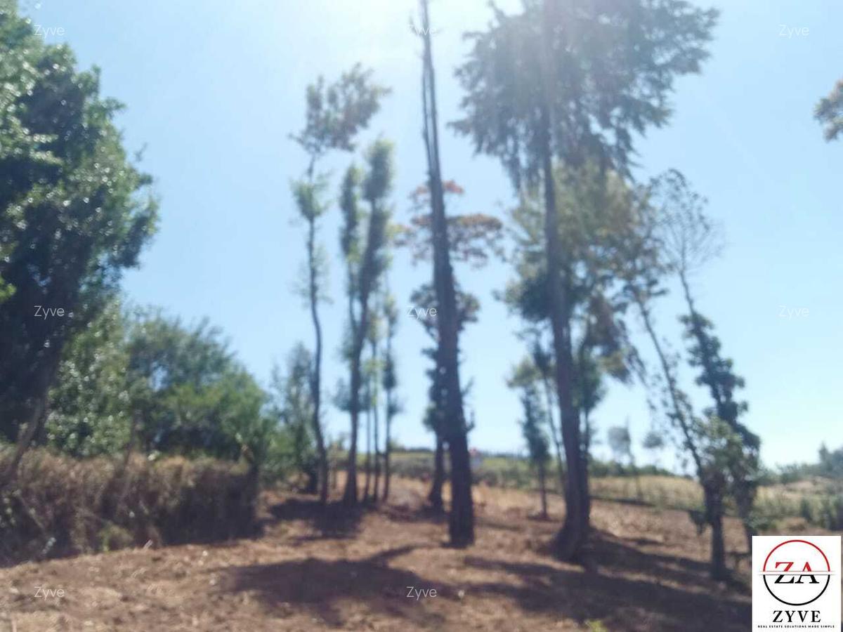 15 ac Land at Touching Nanyuki River - 5