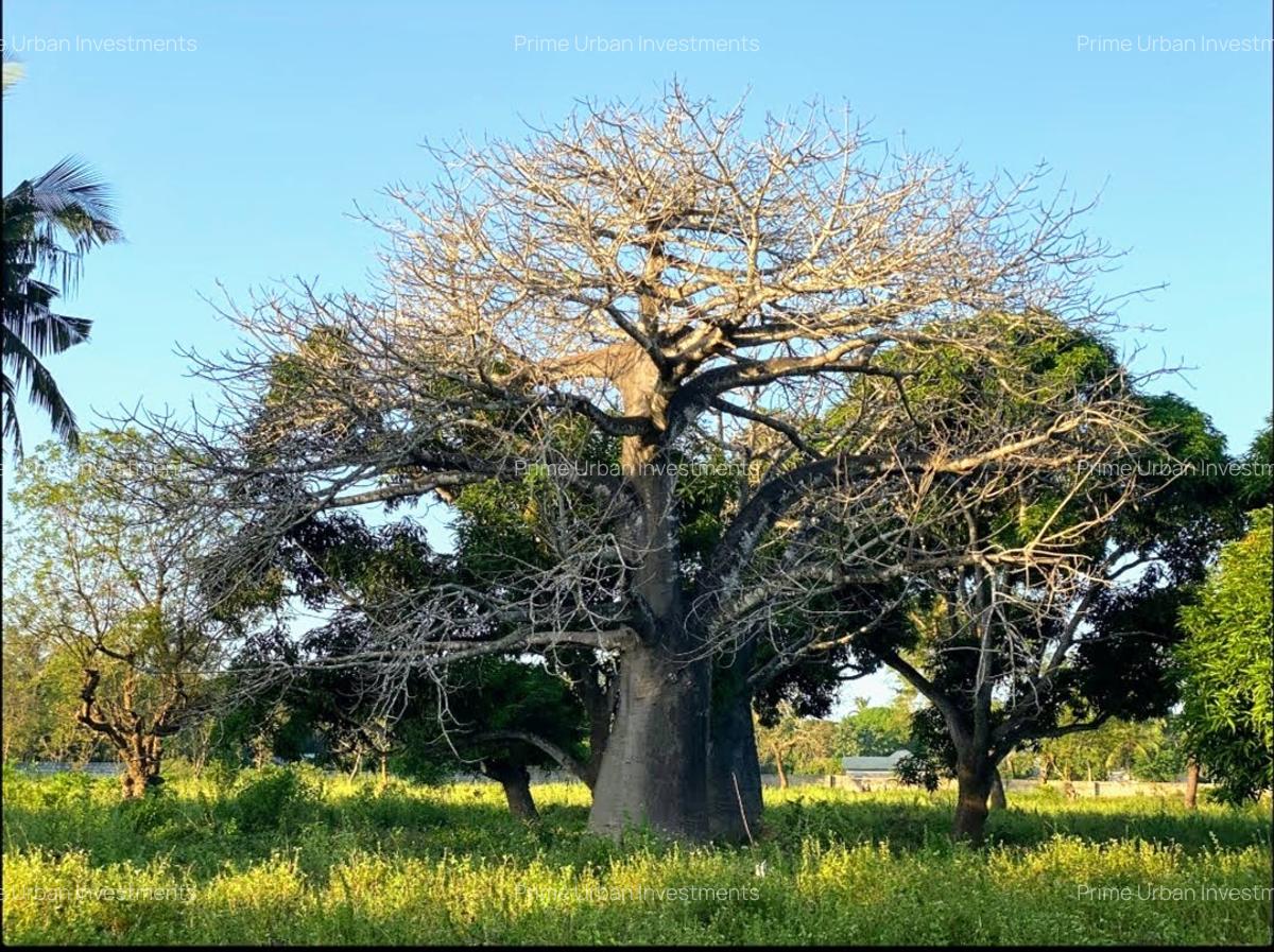 Land at Kuruwitu Beach Vipingo - 9