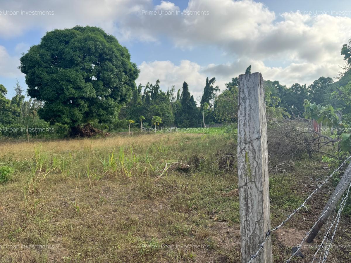 30 ac Land at Kikambala Bomani - 14