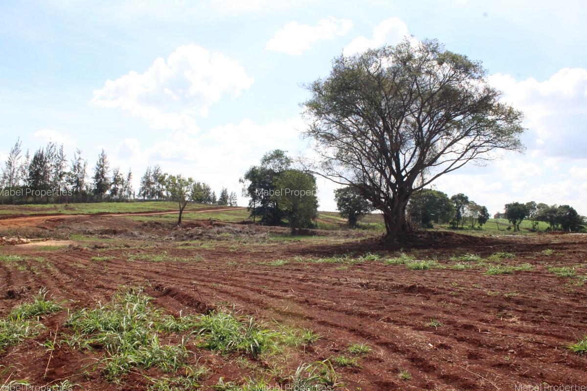 Residential Land at Gatanga Road - 13