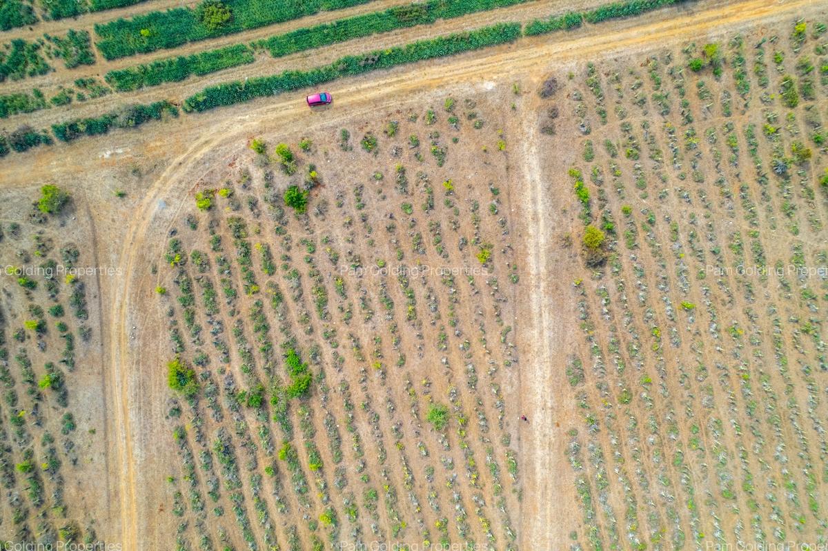 0.125 ac Land at Vipingo - 11