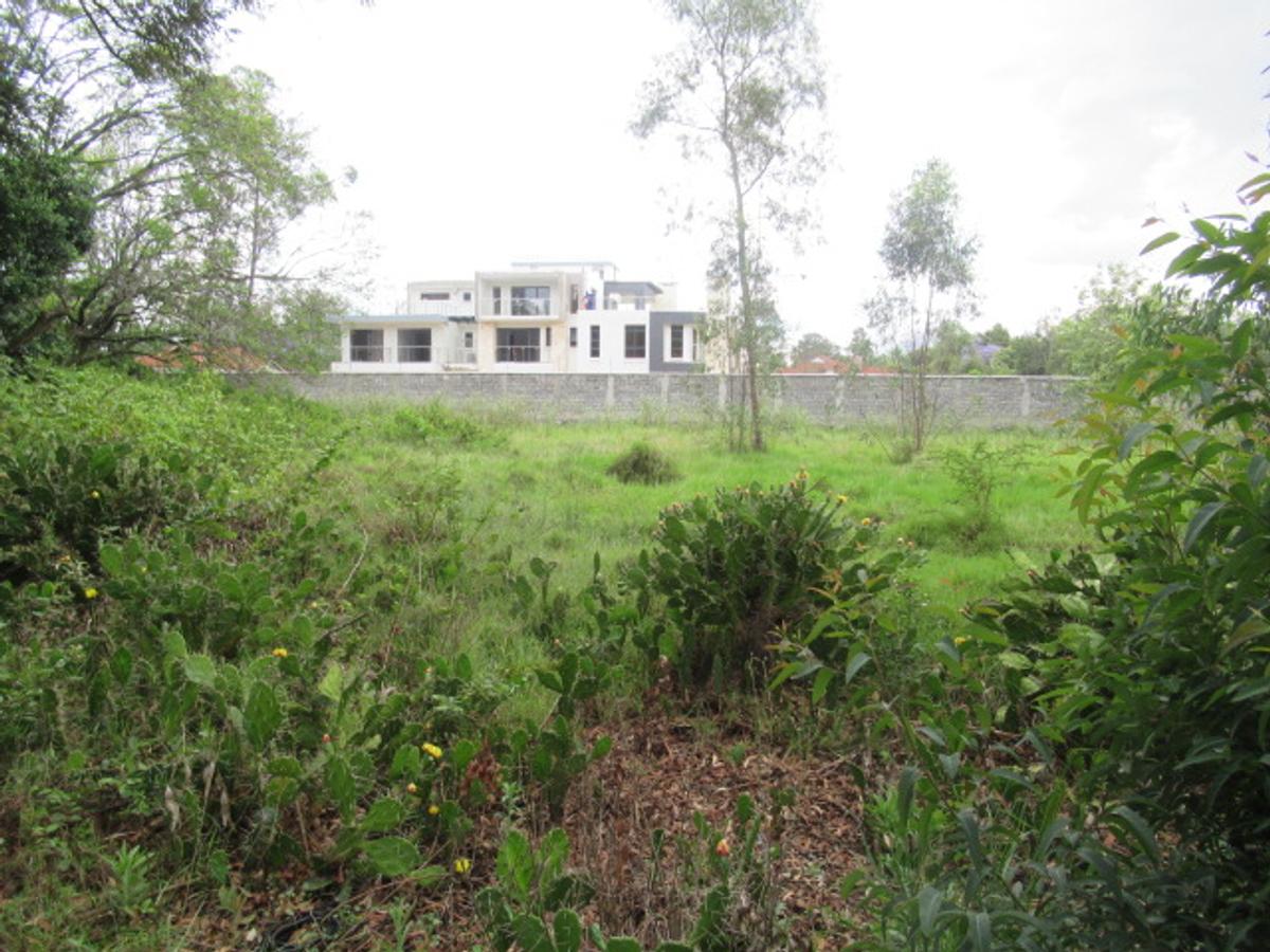 Land at Bogani Rd - 1