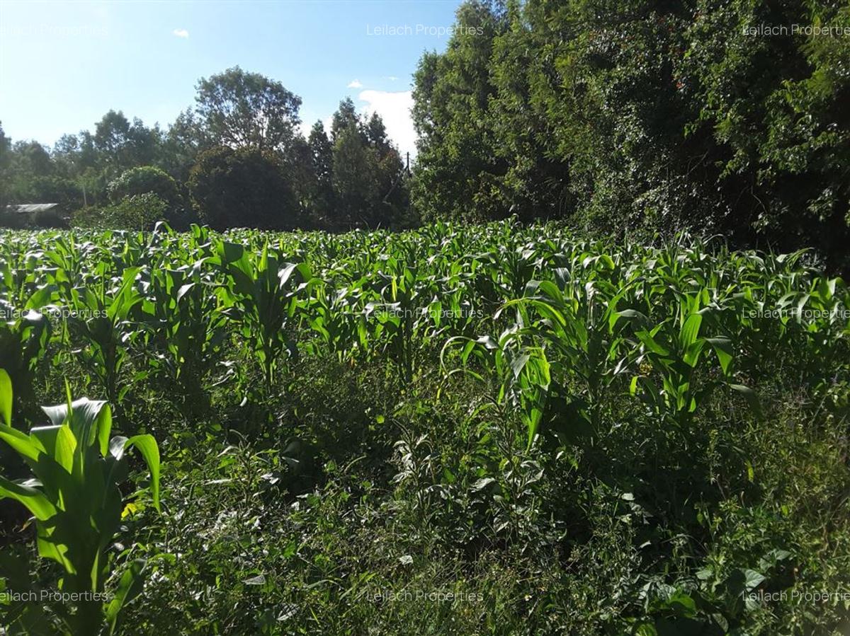 1,000 m² Residential Land at Kerarapon Drive - 9