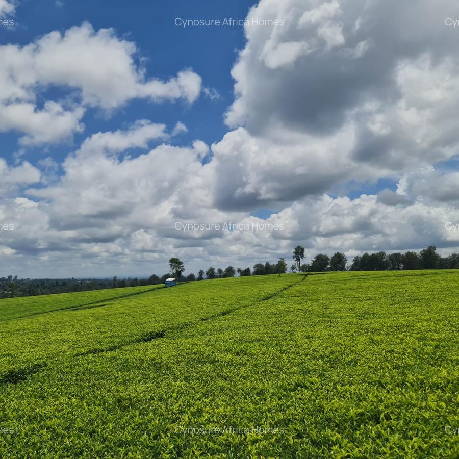 420 ac Land at Kiambu - 4