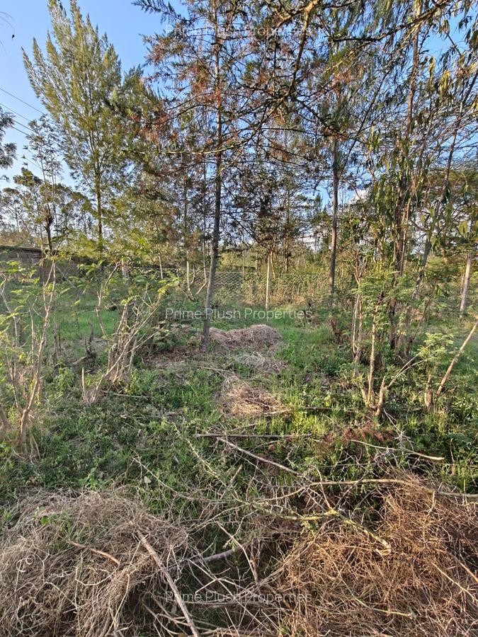 0.57 ac Land in Karen - 5