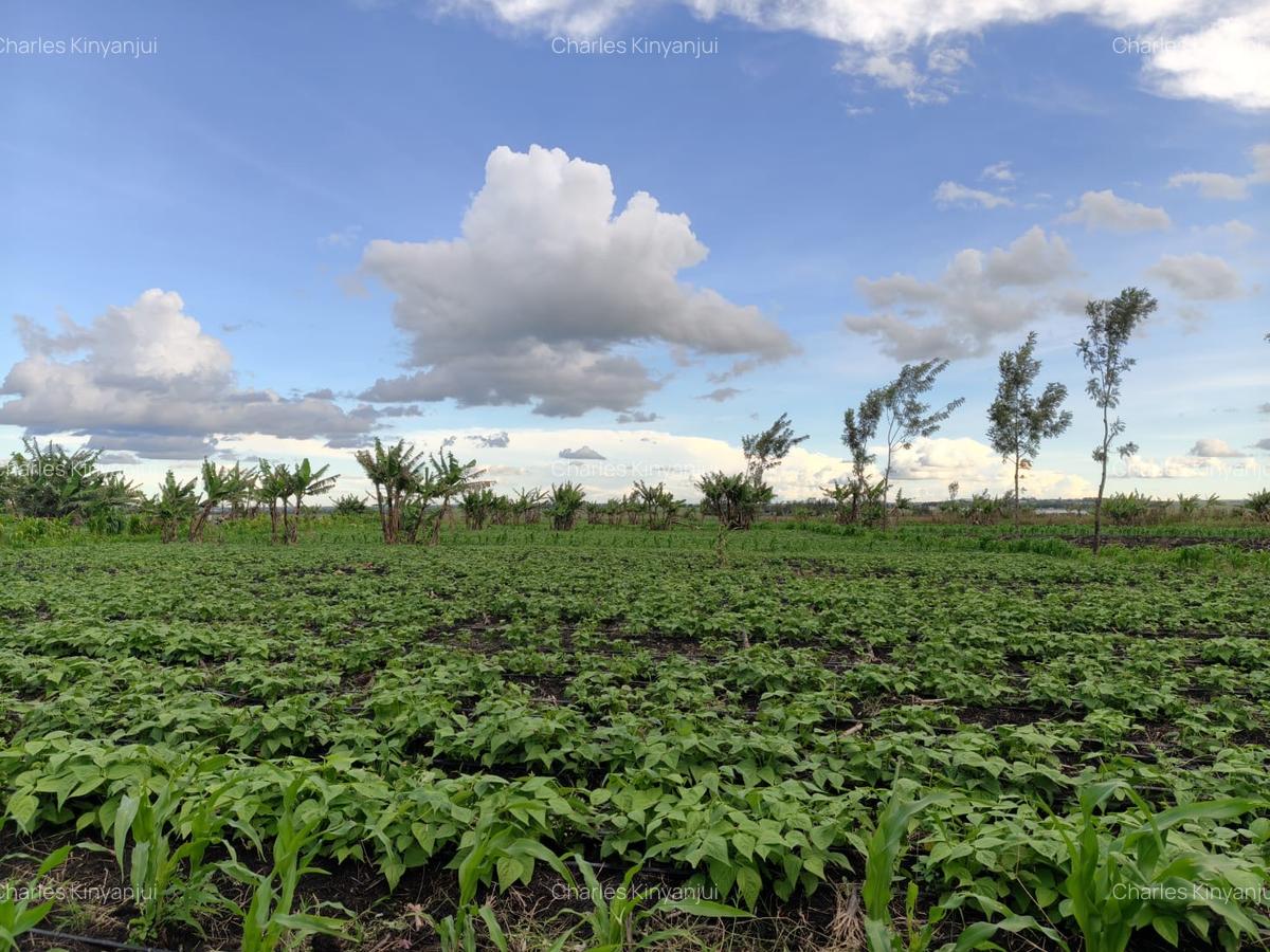 10.75 ac Land at Kisaju - 16