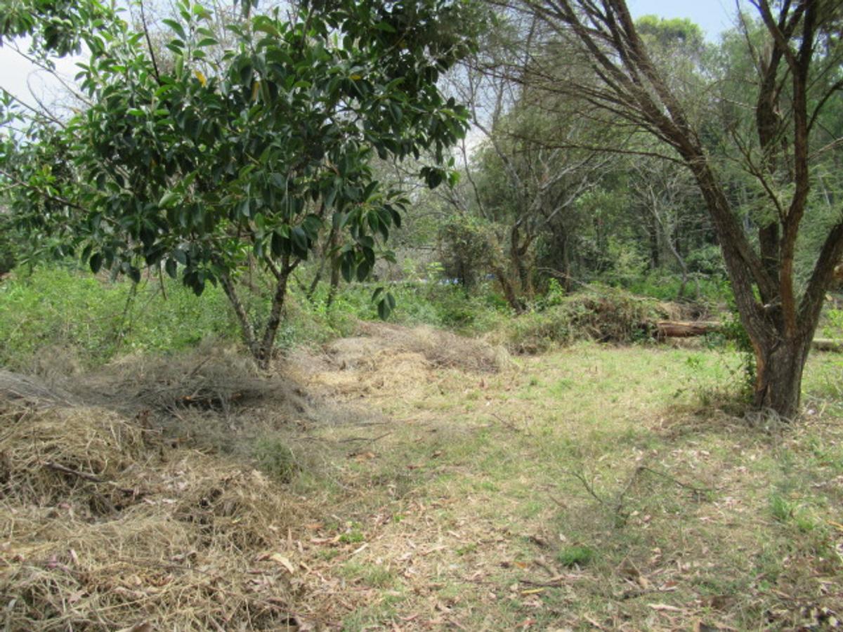 Residential Land at Masai West Rd - 9