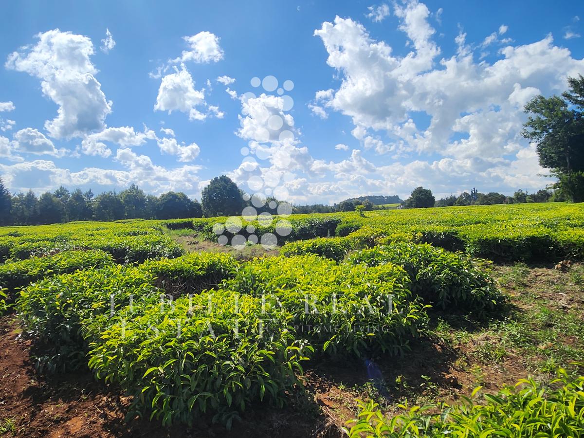 12 ac Land in Tigoni - 4
