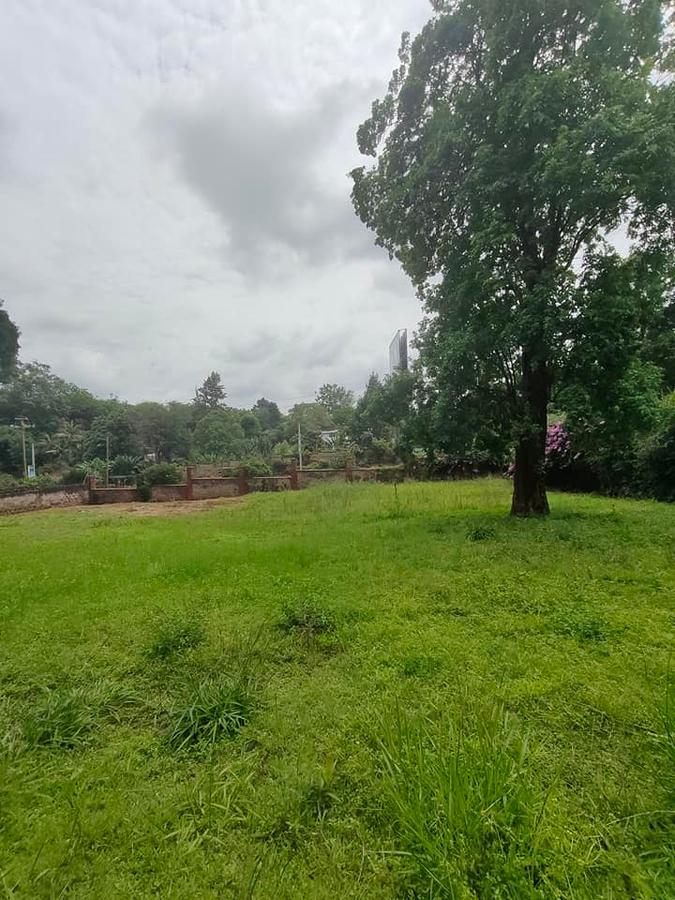 Land in Lavington - 7