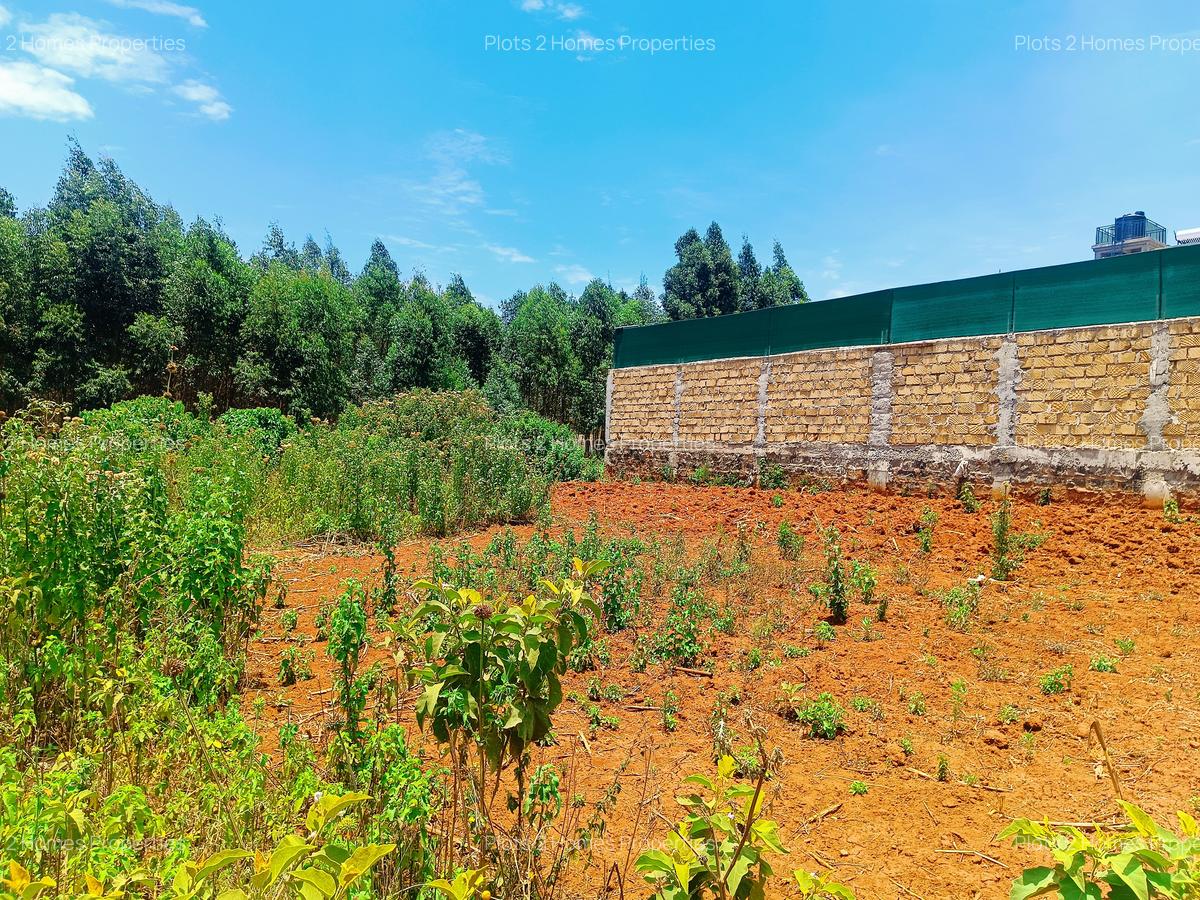 500 m² Residential Land at Jambu Tv - 9