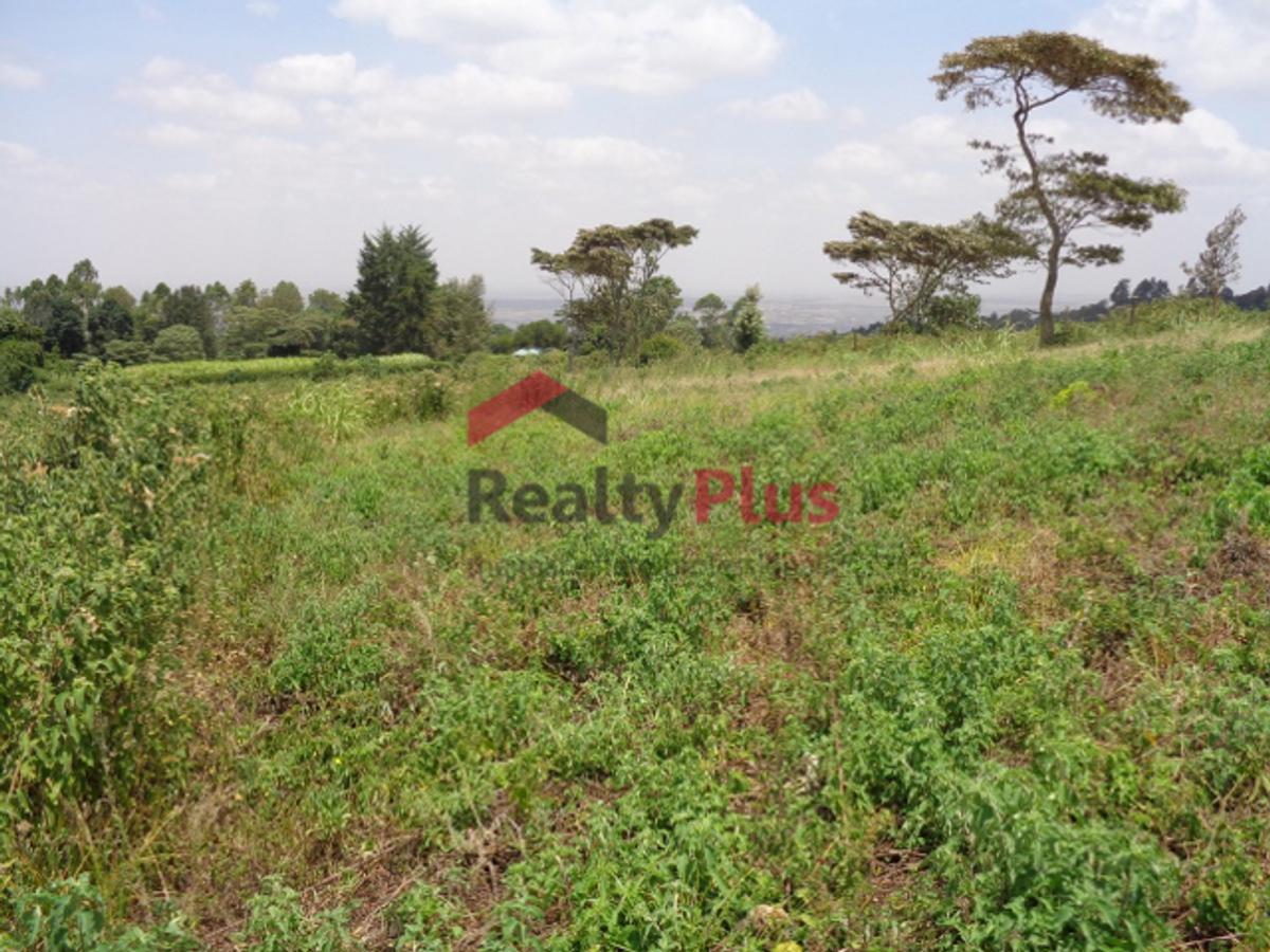 7 ac Land in Nyeri - 1