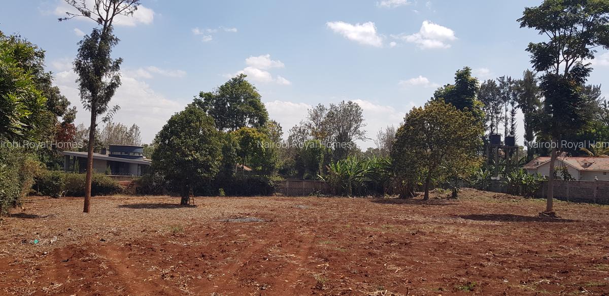 Residential Land at Flem Tree Off Ruaka Road - 8