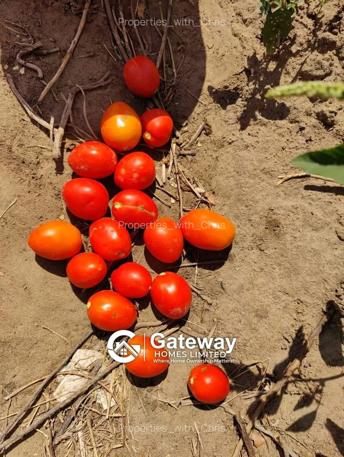 1 ac Land in Malindi - 5