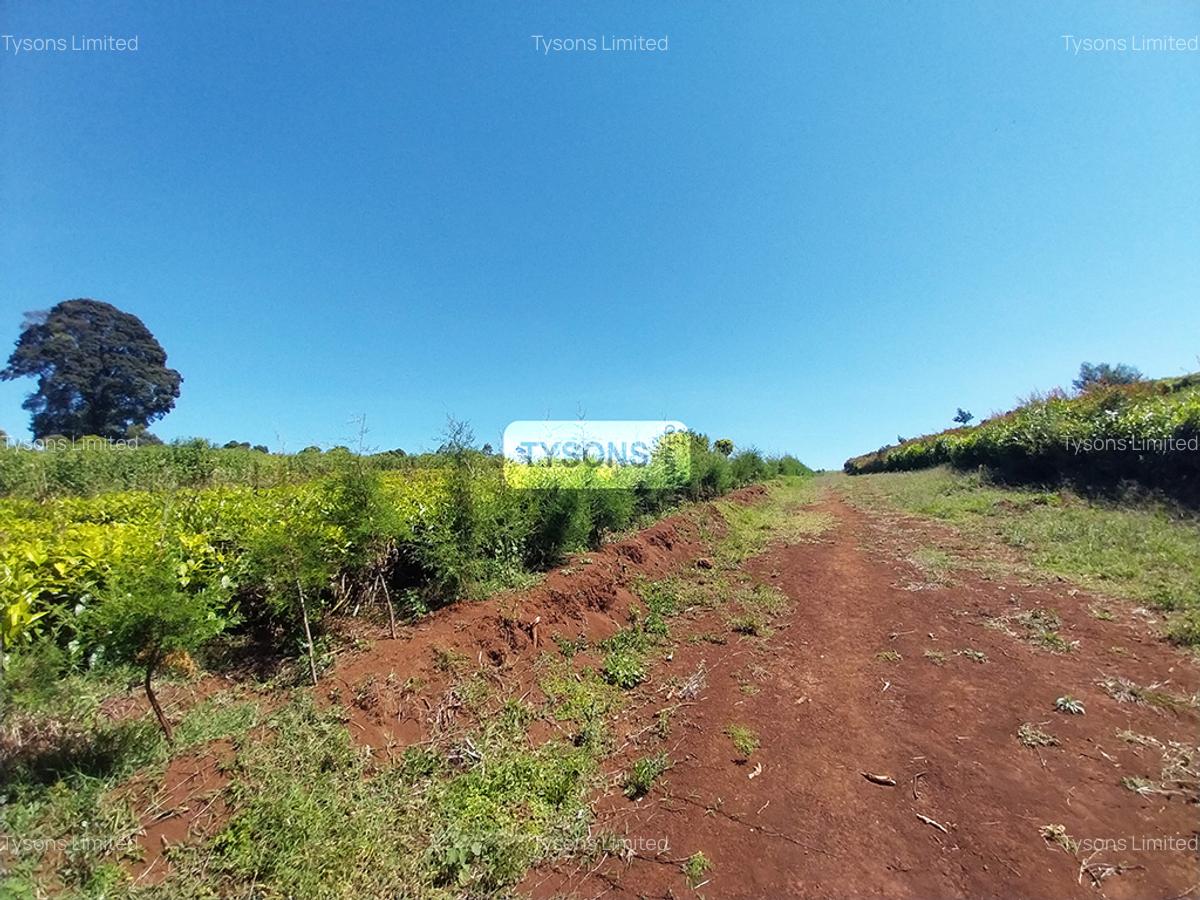 8 ac Land in Tigoni - 1