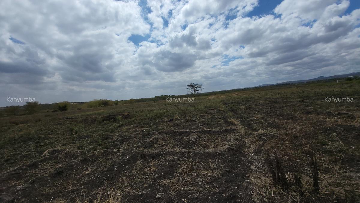 50 ac Land at Athiriver - Mombasa Road - 9