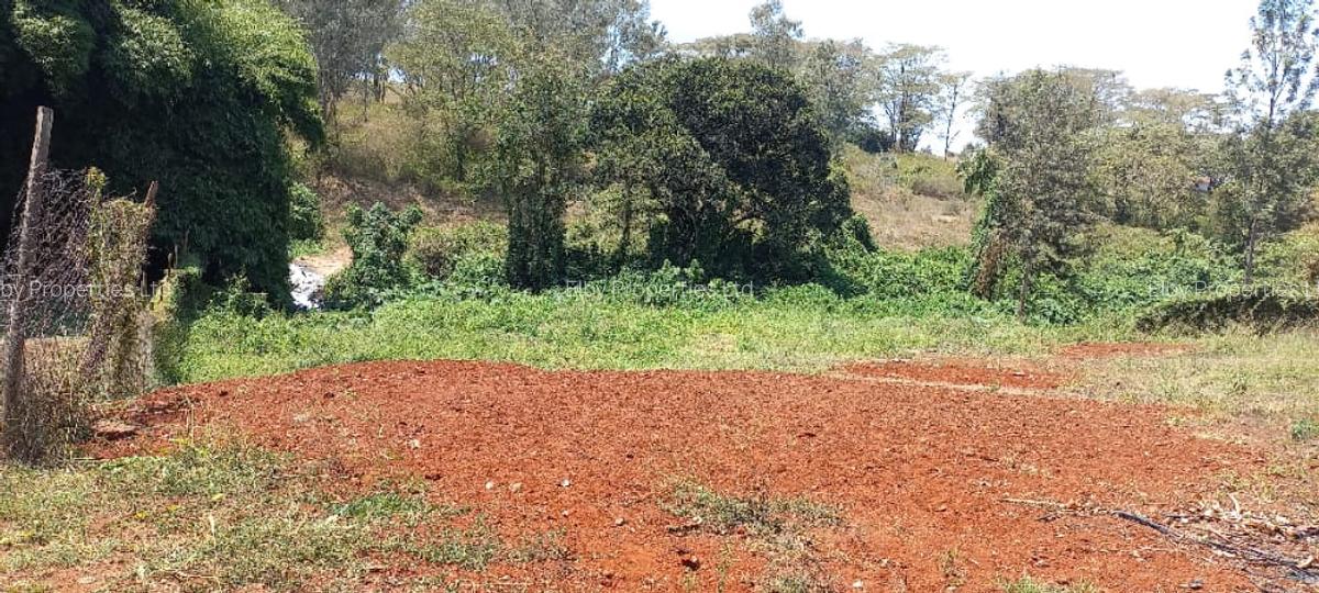 0.5 ac Residential Land at Muthithi - 4
