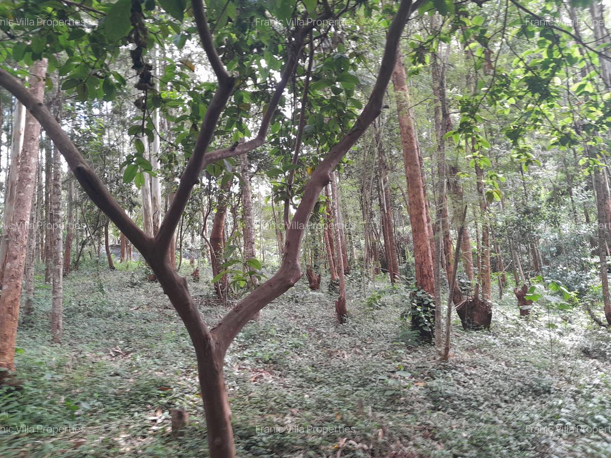 0.5 ac Residential Land at Old Kitisuru - 8