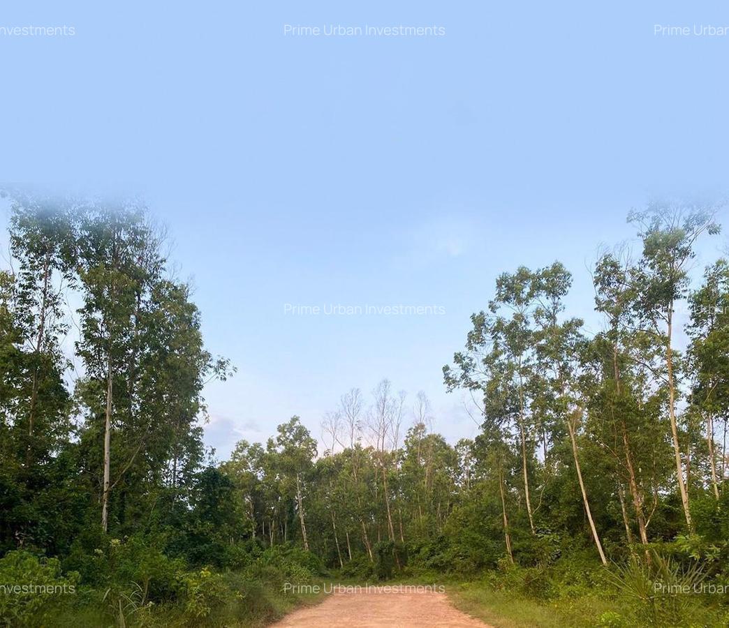 1,012 m² Land at Funzi Island Beach - 8