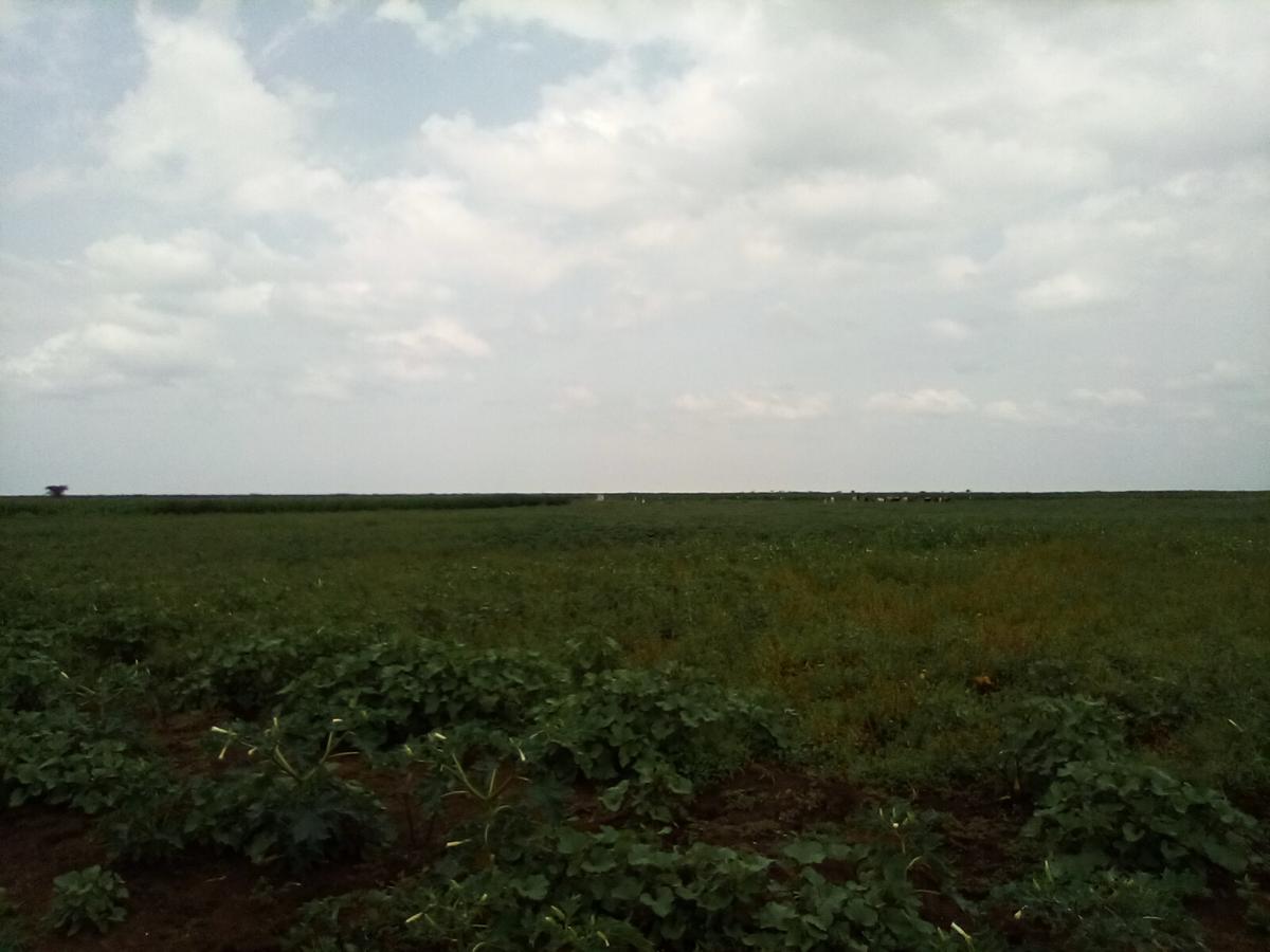 Land at Nanyuki-Rumuruti Rd - 10